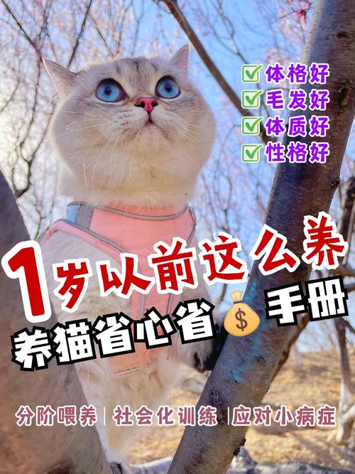标题：这14个养宠窍门，让你省钱又省心！