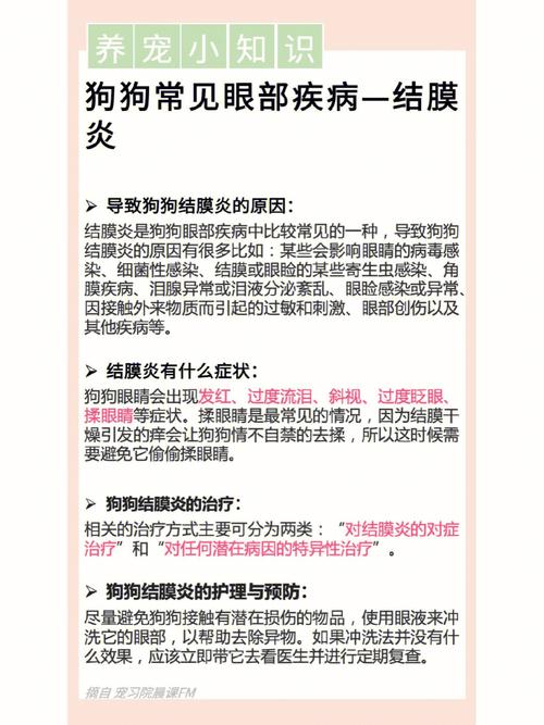 标题：「宠爱」牢记15个养宠小常识，省下巨额看病费
