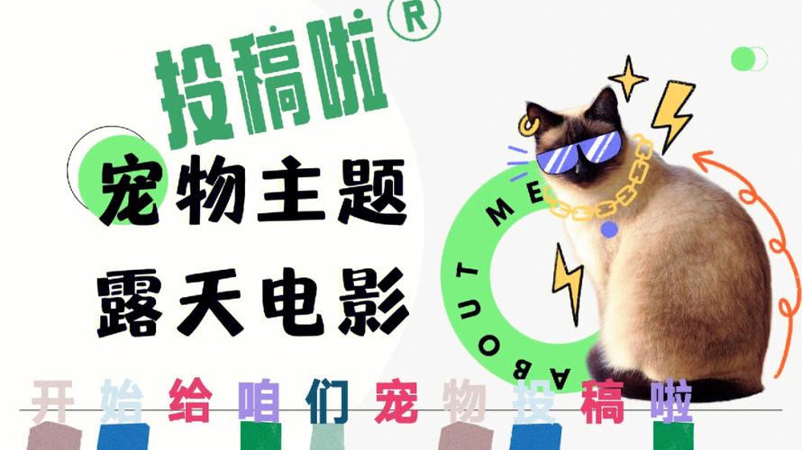 标题：“云中石库门”露天电影宠物专场来咯！