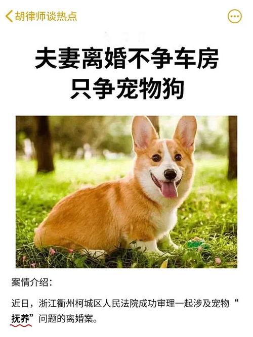 标题：夫妻离婚后宠物归谁？能够“轮流抚养”或“探视”吗？