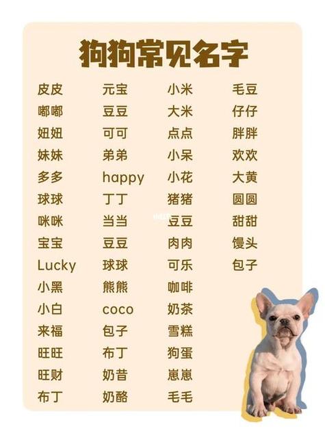 标题：好听的宠物名字大全