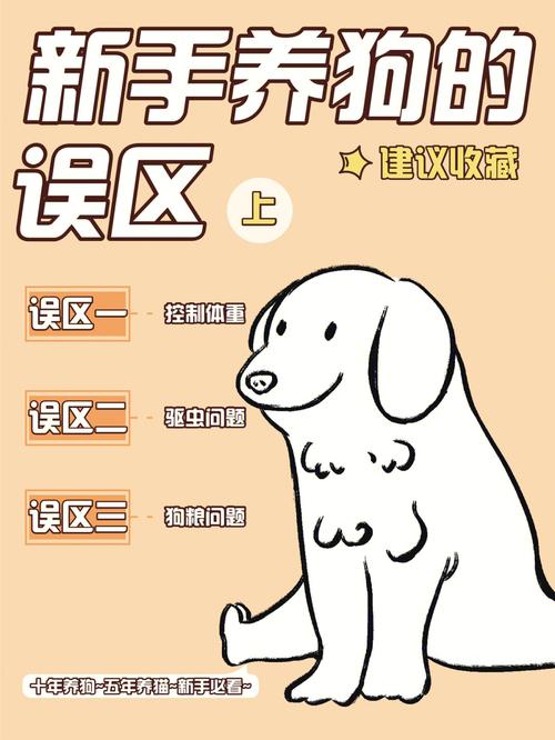 标题：养宠误区TOP12，看你知道几个？